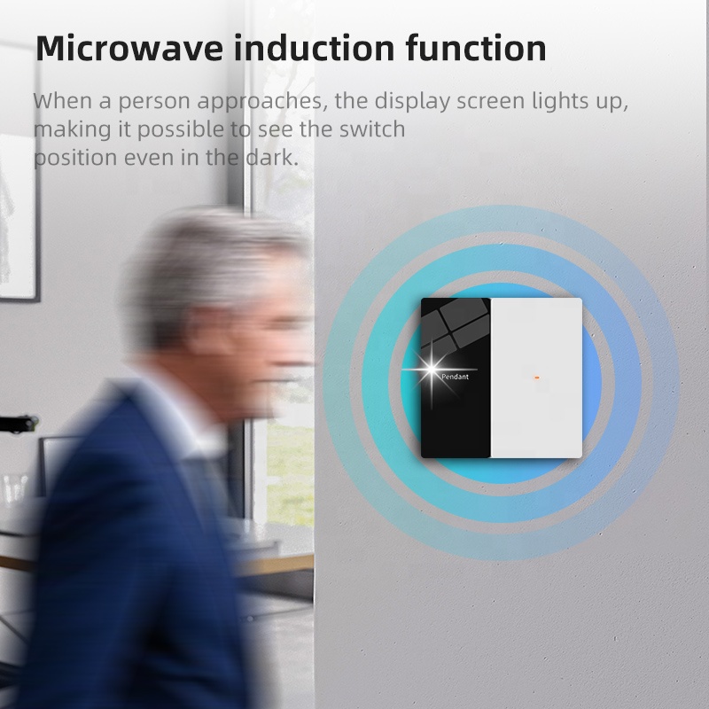 Home Wandschakelaar EU UK Stan - Tuya Smart recensie en prijs